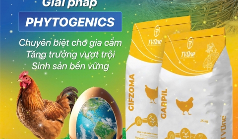 TVONE ngày thứ hai tại Vietstock 2025, hưởng ứng ngày trứng thế giới và giải pháp Phytogenics đặc biệt dành riêng cho gia cầm